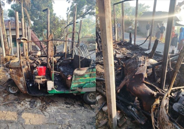 নাটোরে অগ্নিকান্ডে সিএনজি অটোরিক্সা ও ৫ গবাদিপশু সহ বসতবাড়ি পুড়ে ছাই